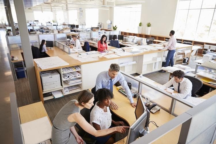Employees working in an open office space environment.