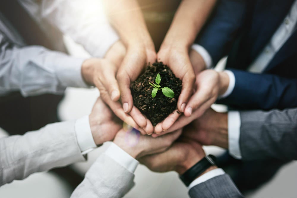 Why HR is the perfect place to start going green